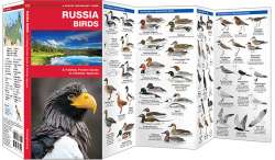 Russia Birds