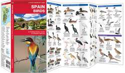 Spain Birds
