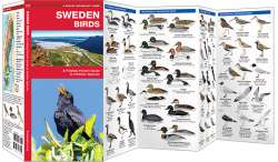 Sweden Birds