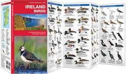 Ireland Birds