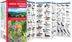 Great Britain Birds