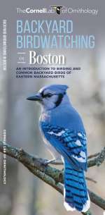 Backyard Birdwatching in Boston - Pocket Guide