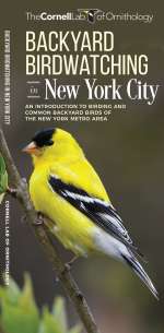 Backyard Birdwatching in New York City - Pocket Guide