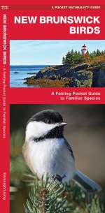 New Brunswick Birds - Pocket Guide