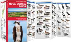 Nova Scotia Birds