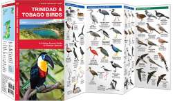 Trinidad & Tobago Birds