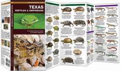 Texas Reptiles & Amphibians