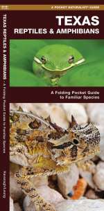 Texas Reptiles & Amphibians - Pocket Guide