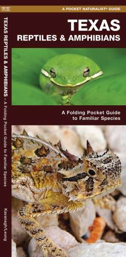 Texas Reptiles & Amphibians