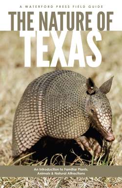 The Nature of Texas