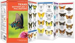 Texas Butterflies & Pollinators