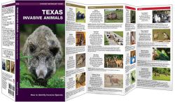 Texas Invasive Animals