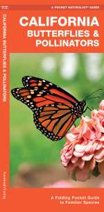 California Butterflies & Pollinators - Pocket Guide