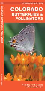 Colorado Butterflies & Pollinators - Pocket Guide