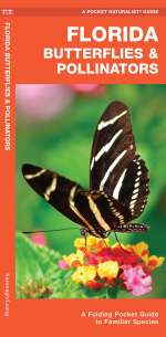 Florida Butterflies & Pollinators - Pocket Guide