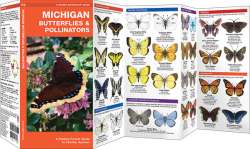 Michigan Butterflies & Pollinators