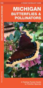 Michigan Butterflies & Pollinators - Pocket Guide
