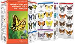 North Carolina Butterflies & Pollinators