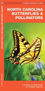North Carolina Butterflies & Pollinators - Pocket Guide