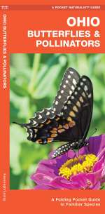 Ohio Butterflies & Pollinators - Pocket Guide