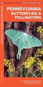 Pennsylvania Butterflies & Pollinators - Pocket Guide