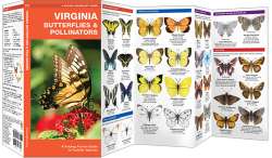 Virginia Butterflies & Pollinators