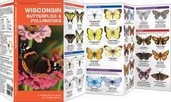 Wisconsin Butterflies & Pollinators