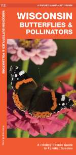 Wisconsin Butterflies & Pollinators - Pocket Guide