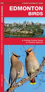 Edmonton Birds - Pocket Guide