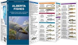 Alberta Fishes - Pocket Guide