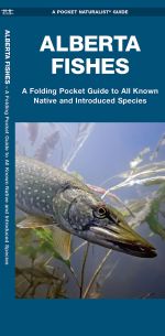 Alberta Fishes - Waterproof Pocket Guide