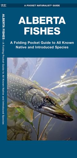 Alberta Fishes - Pocket Guide
