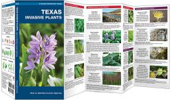 Texas Invasive Plants - Pocket Guide