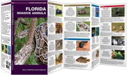 Florida Invasive Animals - Pocket Guide