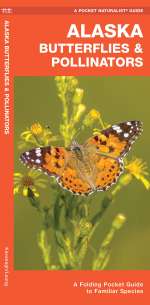 Alaska Butterflies & Pollinators - Pocket Guide