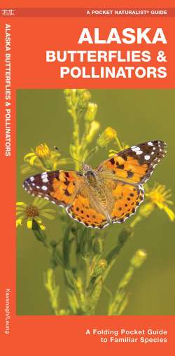 Alaska Butterflies & Moths