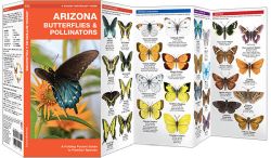 Arizona Butterflies & Moths