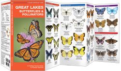 Great Lakes Butterflies & Moths