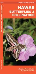 Hawaii Butterflies & Pollinators - Pocket Guide