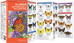 Illinois Butterflies & Moths