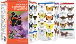 Indiana Butterflies & Moths - A Pocket Naturalist Guide