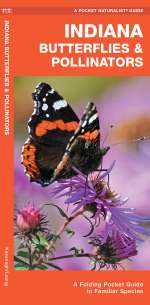 Indiana Butterflies & Pollinators - Pocket Guide