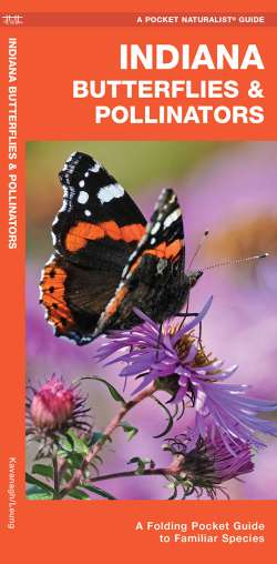 Indiana Butterflies & Moths - A Pocket Naturalist Guide