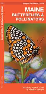 Maine Butterflies & Pollinators - Pocket Guide