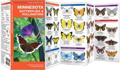 Minnesota Butterflies & Moths - A Pocket Naturalist Guide