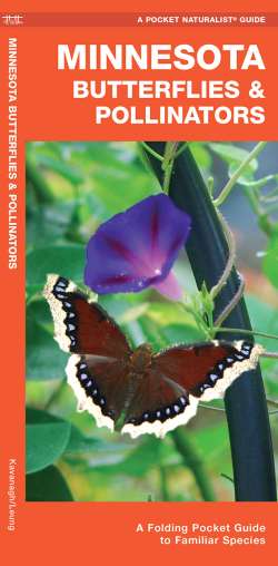 Minnesota Butterflies & Moths - A Pocket Naturalist Guide