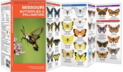 Missouri Butterflies & Moths - A Pocket Naturalist Guide