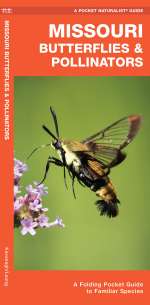 Missouri Butterflies & Pollinators - Pocket Guide