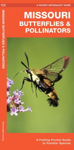 Missouri Butterflies & Moths - A Pocket Naturalist Guide