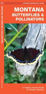 Montana Butterflies & Pollinators - Pocket Guide